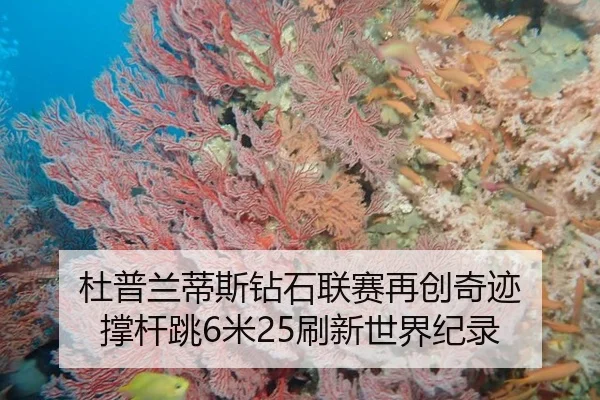 杜普兰蒂斯钻石联赛再创奇迹 撑杆跳6米25刷新世界纪录