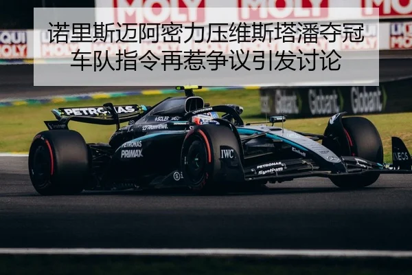 nuo-li-si-mai-a-mi-li-ya-wei-si-ta-pan-duo-guan-che-dui-zhi-ling-zai-re-zheng-yi-yin-fa-tao-lun-2-200.jpg