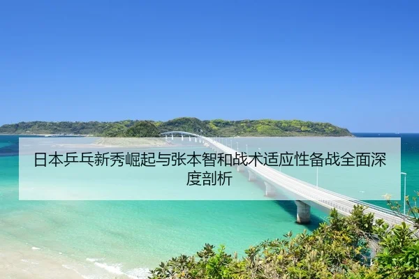 ri-ben-ping-pang-xin-xiu-jue-qi-yu-zhang-ben-zhi-he-zhan-shu-shi-ying-xing-bei-zhan-quan-mian-shen-du-pou-xi-2-882.jpg