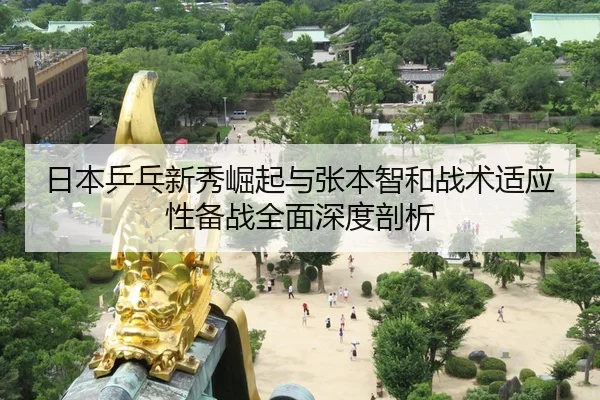 ri-ben-ping-pang-xin-xiu-jue-qi-yu-zhang-ben-zhi-he-zhan-shu-shi-ying-xing-bei-zhan-quan-mian-shen-du-pou-xi-1-796.jpg